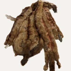 Vintage mink wrap/scarf